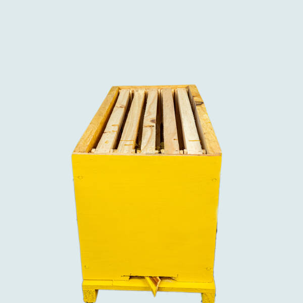 Langstroth catcher box