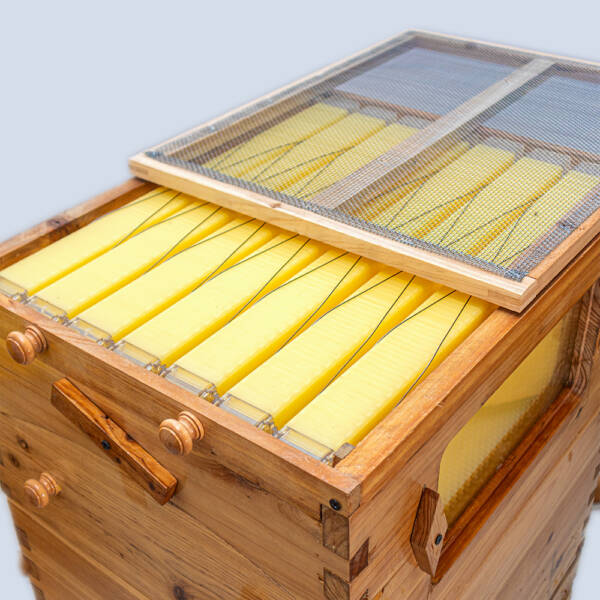 Flow hive - Image 3